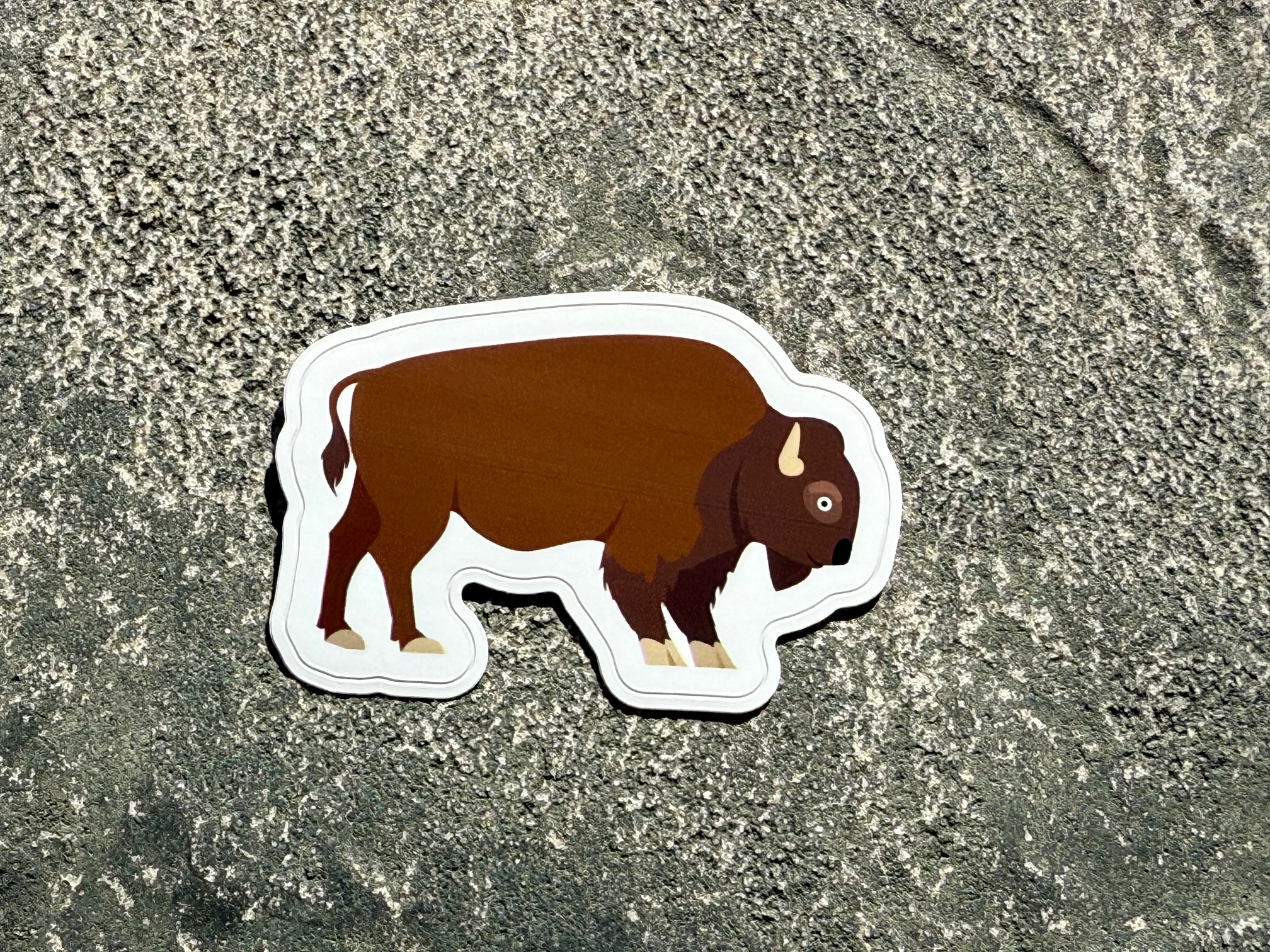 Sticker - Bison - Kathy Cherry Books